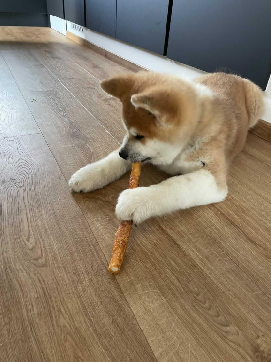 Délicieux stick au poulet