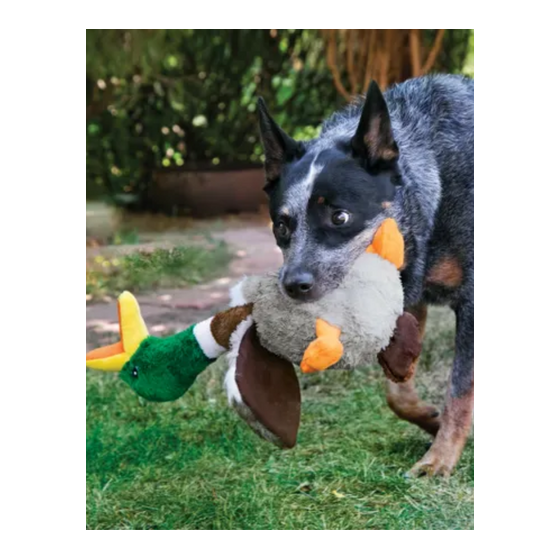 KONG SHAKERZ - Bernard le Canard