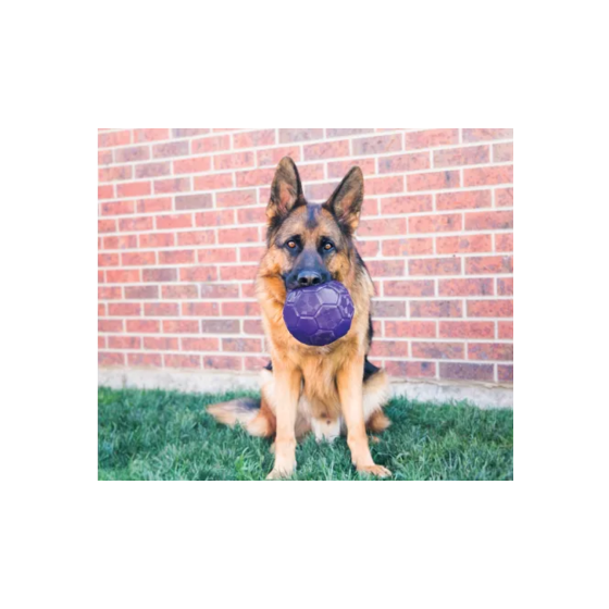 Kong Flex Ball M/L