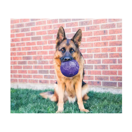 Kong Flex Ball M/L