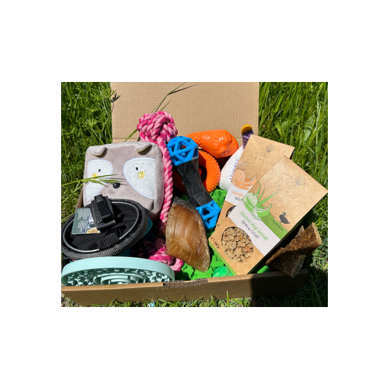 La Puppy Box - Juin 2023