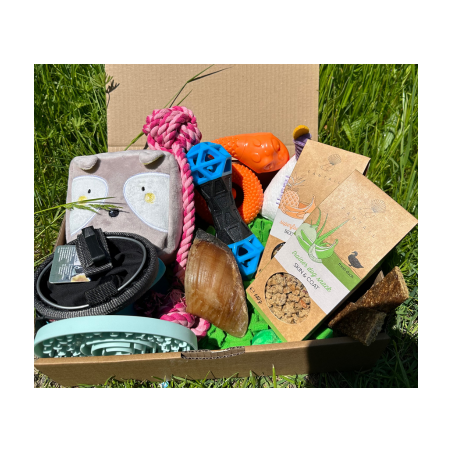 La Puppy Box - Juin 2023