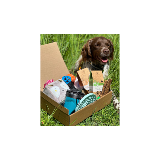 La Puppy Box - Juin 2023