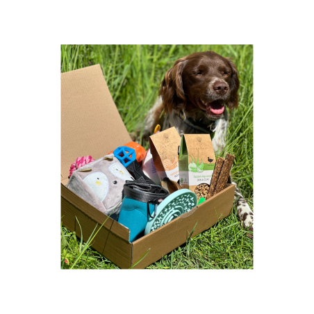 La Puppy Box - Juin 2023