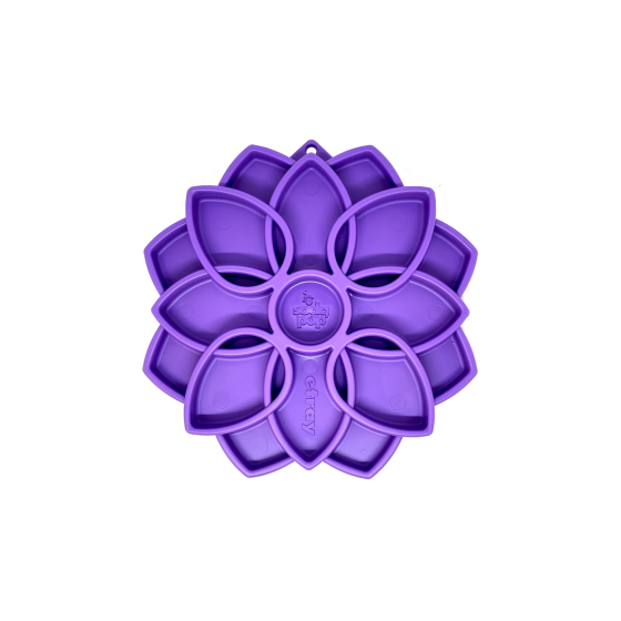 SodaPup - Plateau d'enrichissement Mandala Vibe