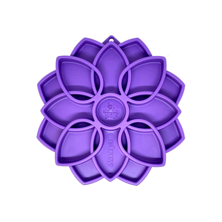 SodaPup - Plateau d'enrichissement Mandala Vibe