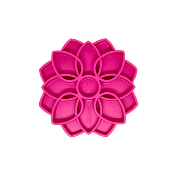 SodaPup - Plateau d'enrichissement Mandala Vibe