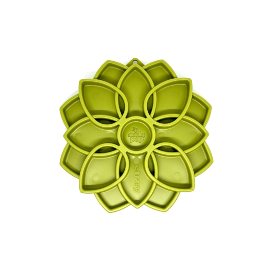 SodaPup - Plateau d'enrichissement Mandala Vibe