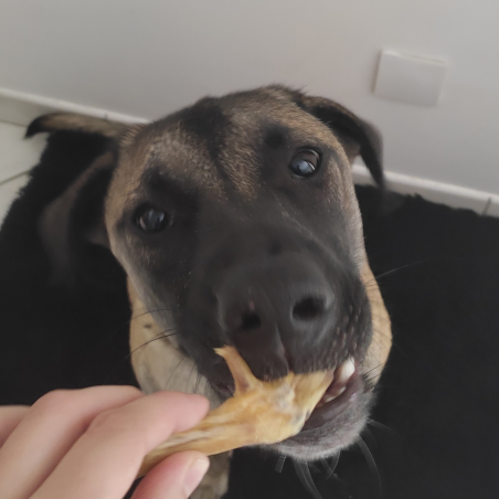 Patte de poulet