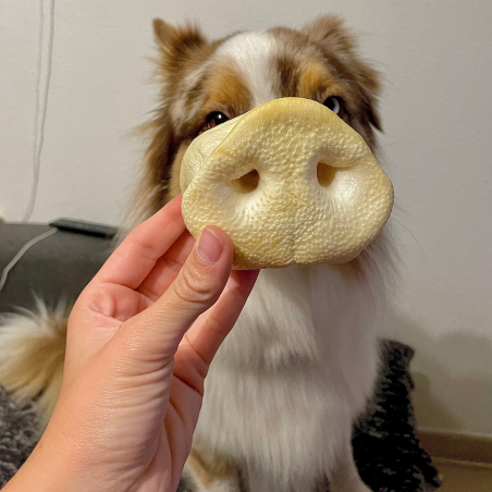 Groin de porc soufflé au Miel