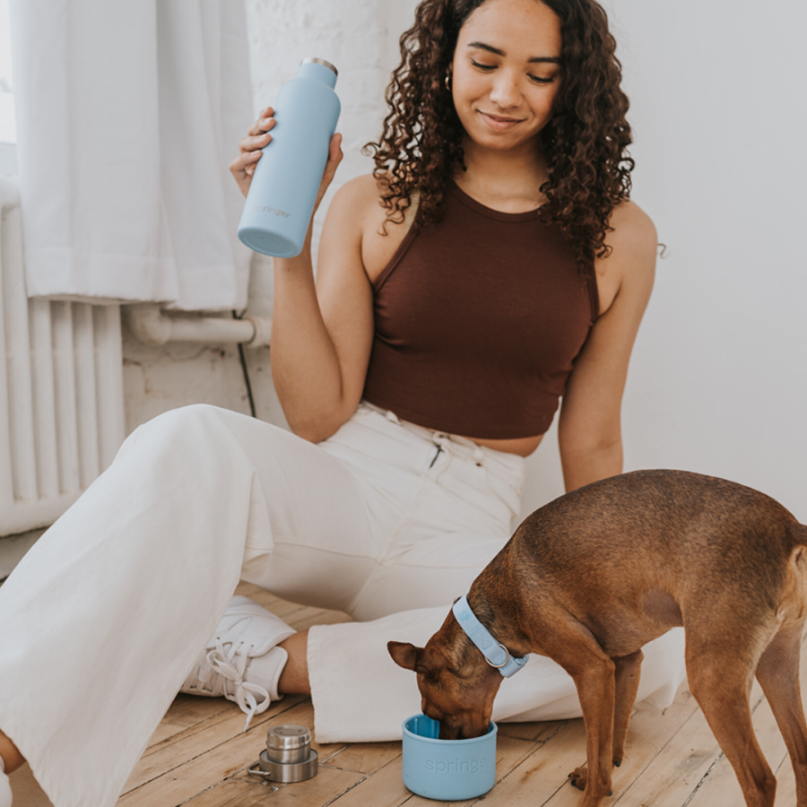 Bouteille Gamelle Springer isotherme 700ML - Bleue