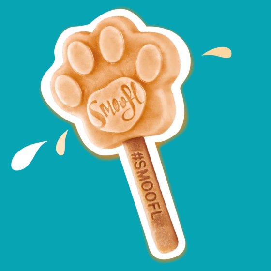 Smoofl - Mélange Glace Caramel Crémeux