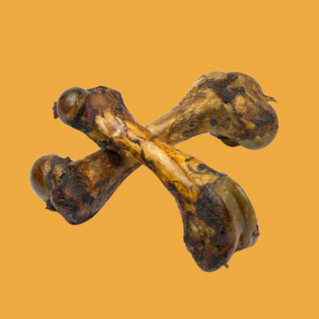 Humerus de porc