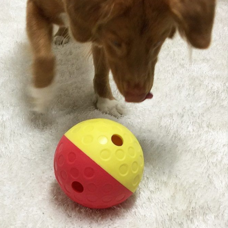 Nina Ottosson - Dog Tumble S