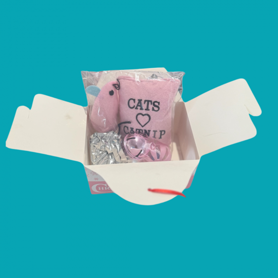 Boite surprise de noël pour chat