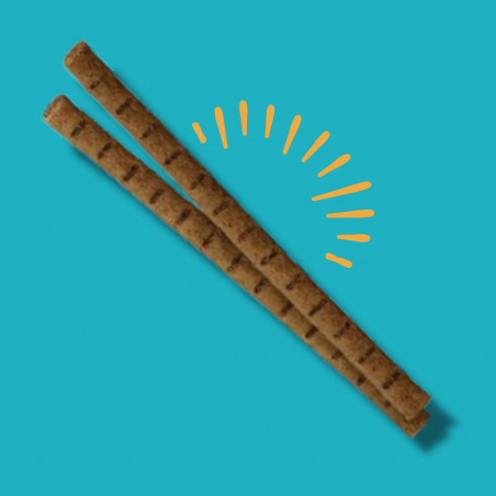 Stick aux insectes