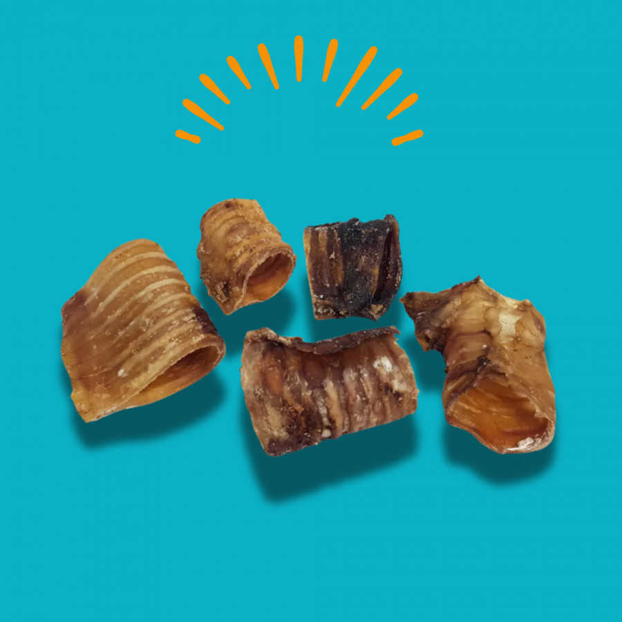 Trachée de bœuf Trachée de bœuf