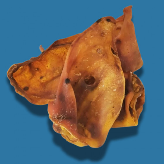 Oreille de Porc premium avec Cartilage