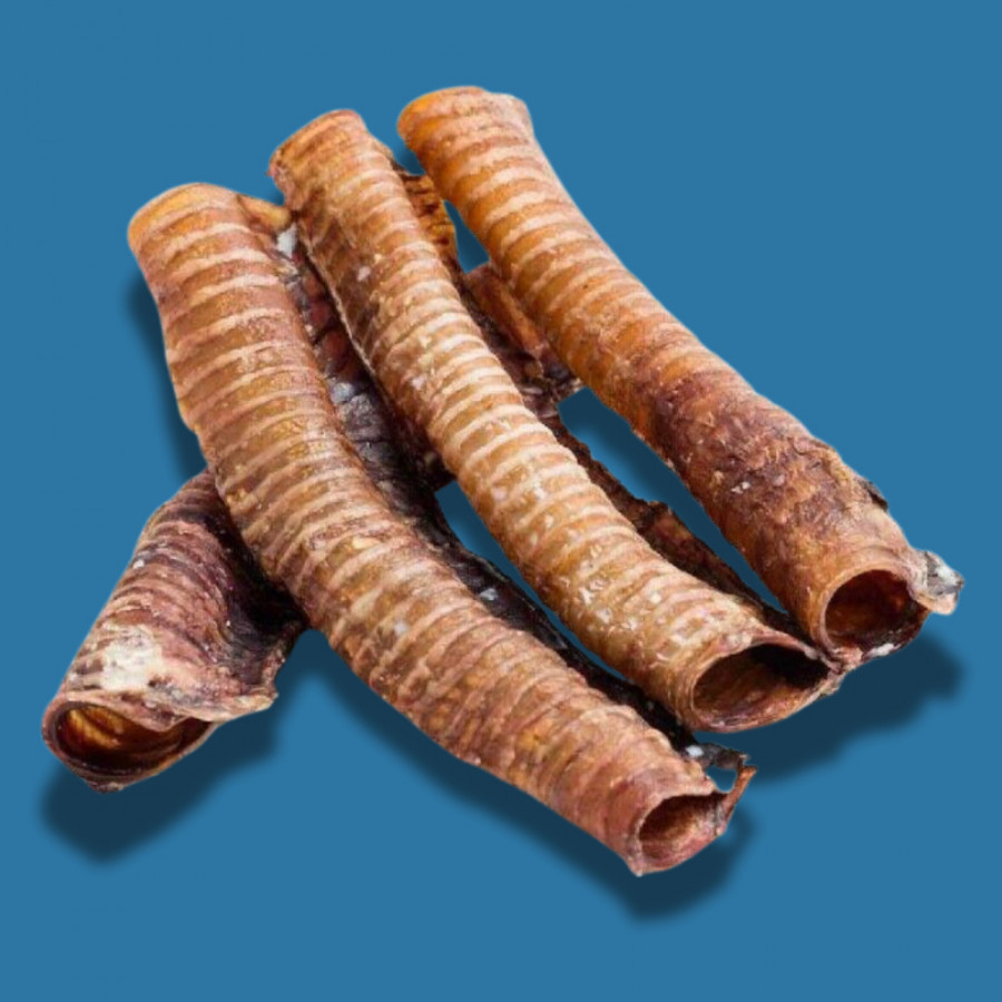 Trachée de Bœuf XXL 30 cm – Friandise Naturelle pour Chien