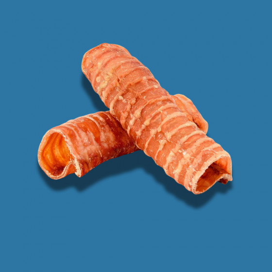Trachée de bœuf 15cm