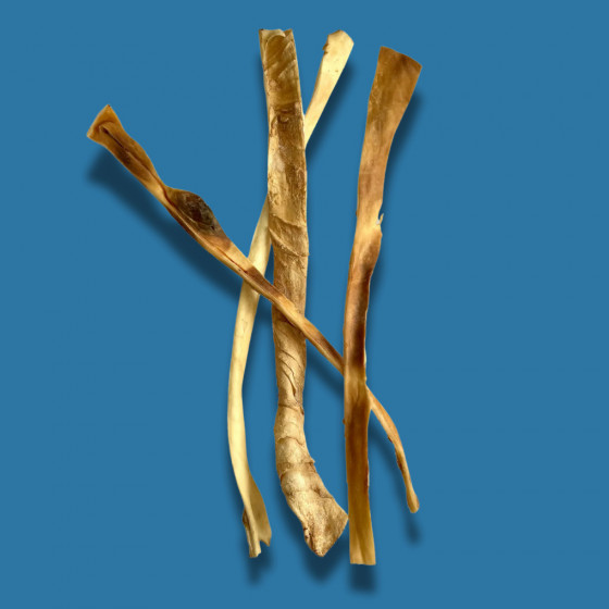 Méga peau de bœuf séchée 60cm