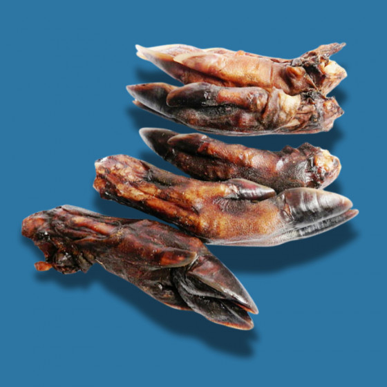 Jambe de Sanglier