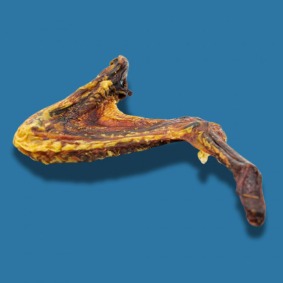 Aile de canard