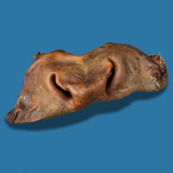 Museau de bœuf Entier