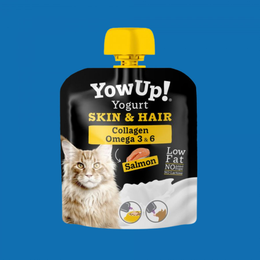Yowup Saumon chat - Peau et poil