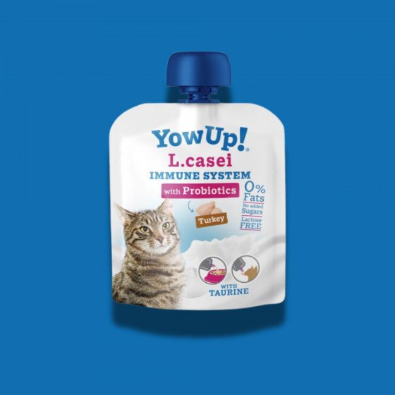 Yaourt Dinde pour chat - Yowup