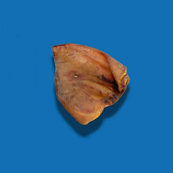 Oreille de porc