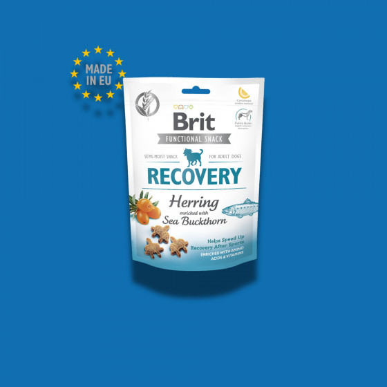 Brit recovery Hareng et Argousier - 150G