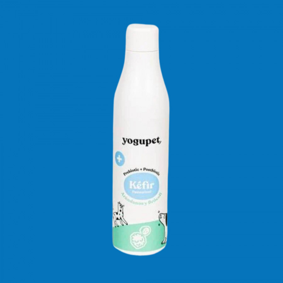 Kéfir de myrtille Yogupet - 200ML