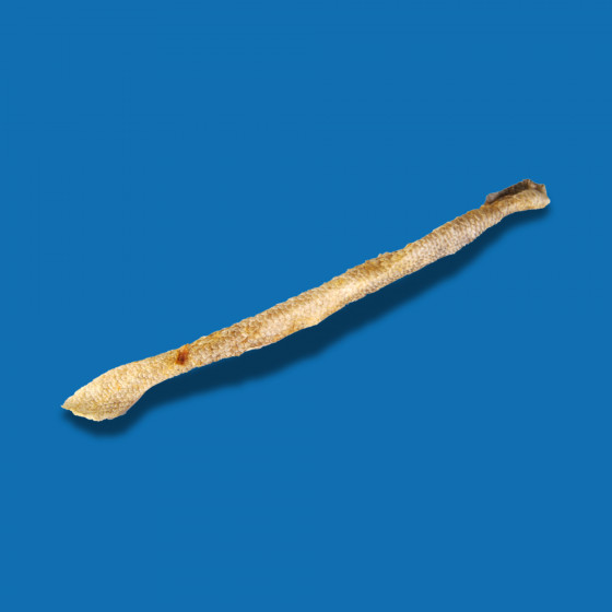 Stick de peau de Sébaste