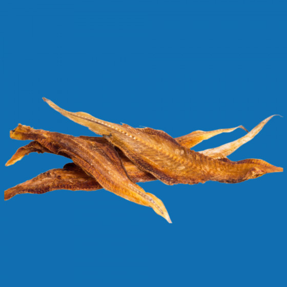 Filet de Sole Séché – Friandise Naturelle Chien