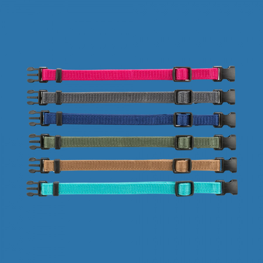 Junior set collier pour chiot lot de 6