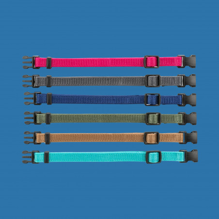 Junior set collier pour chiot lot de 6