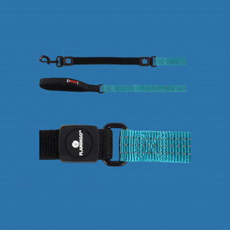 Laisse Zorba Turquoise