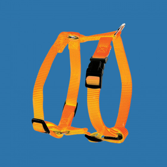 Harnais nylon réglable orange