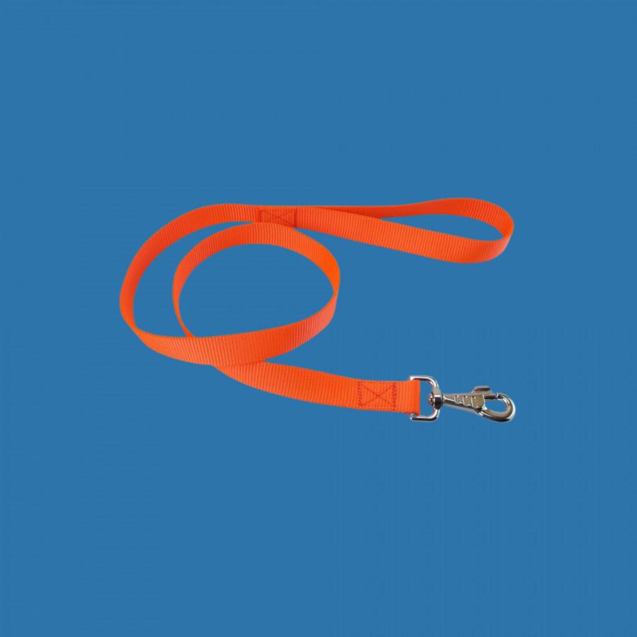 Laisse nylon 1m 25mm orange Laisse nylon 1m 25mm orange
