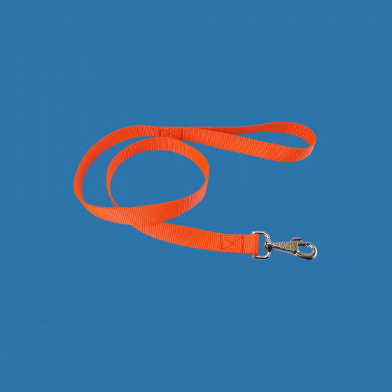 Laisse nylon XL 0,60m/40mm orange