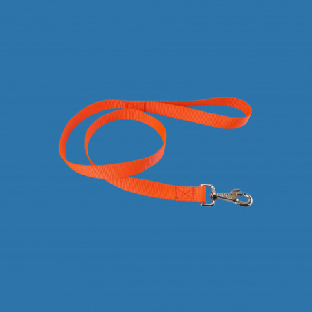 Laisse nylon XL 0,60m/40mm orange