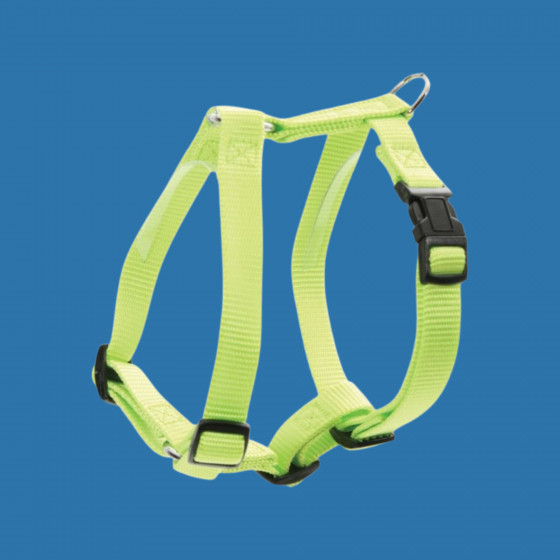 Harnais nylon réglable vert