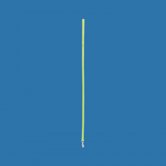 Laisse nylon vert