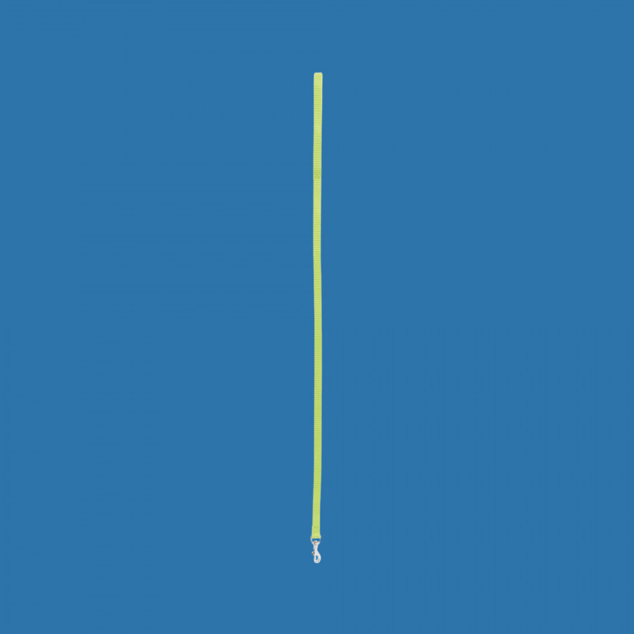 Laisse nylon vert