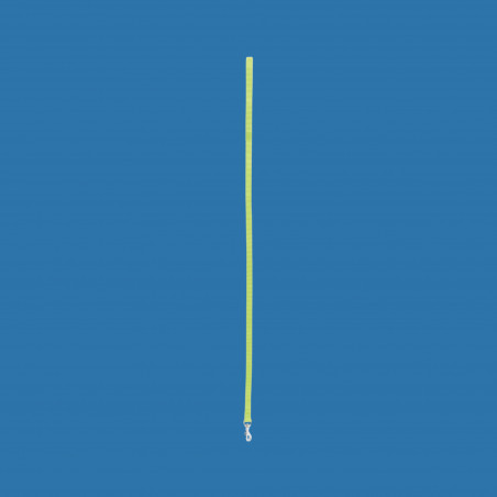 Laisse nylon vert