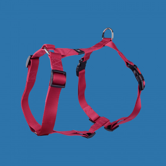 Harnais Forme en H Ziggi Rouge cerise