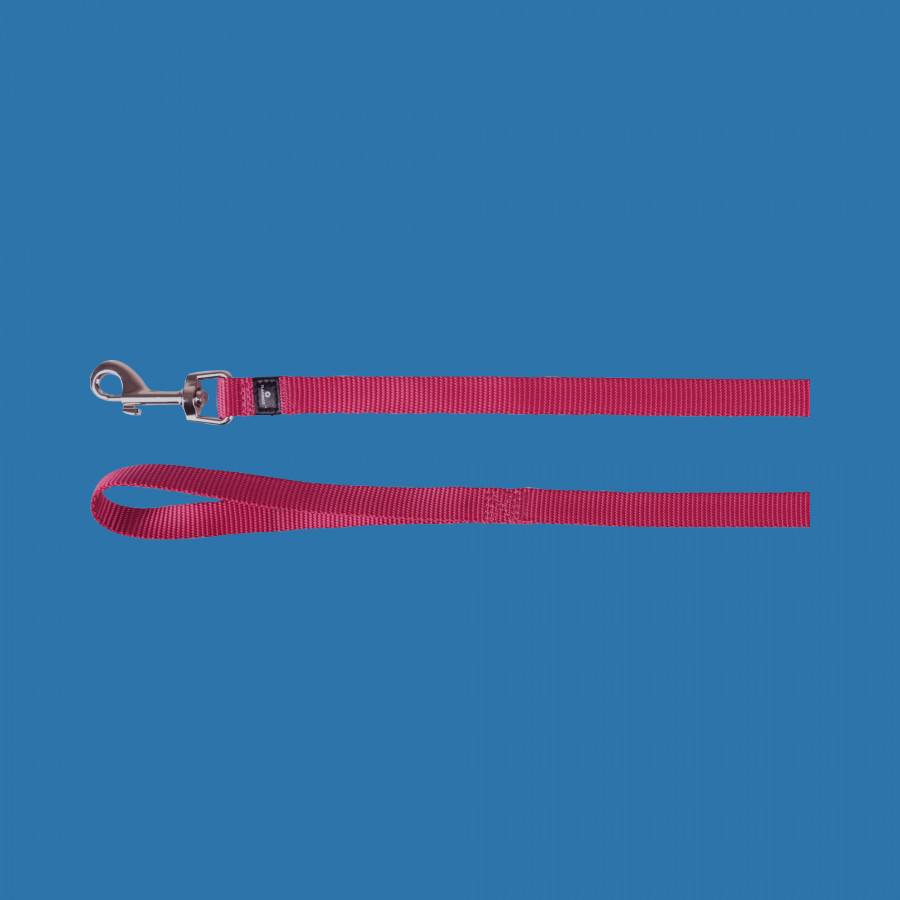 Laisse Ziggi Rouge cerise 1,3m