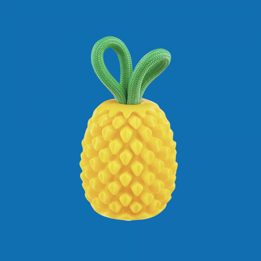 Nina Ottosson - Ananas à remplir Nina Ottosson - Ananas à remplir