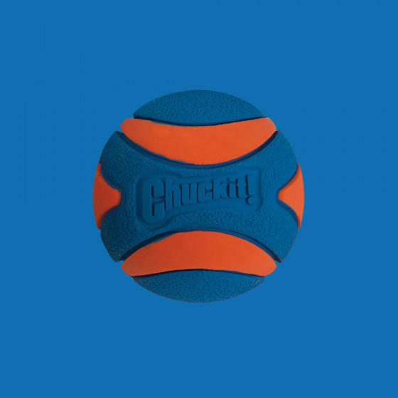 Chuckit Ultra squeaker ball